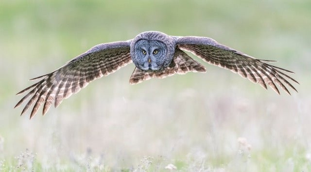 Interview with a Photographer featuring Anthony Bucci - Cotton Camera Carrying Systems