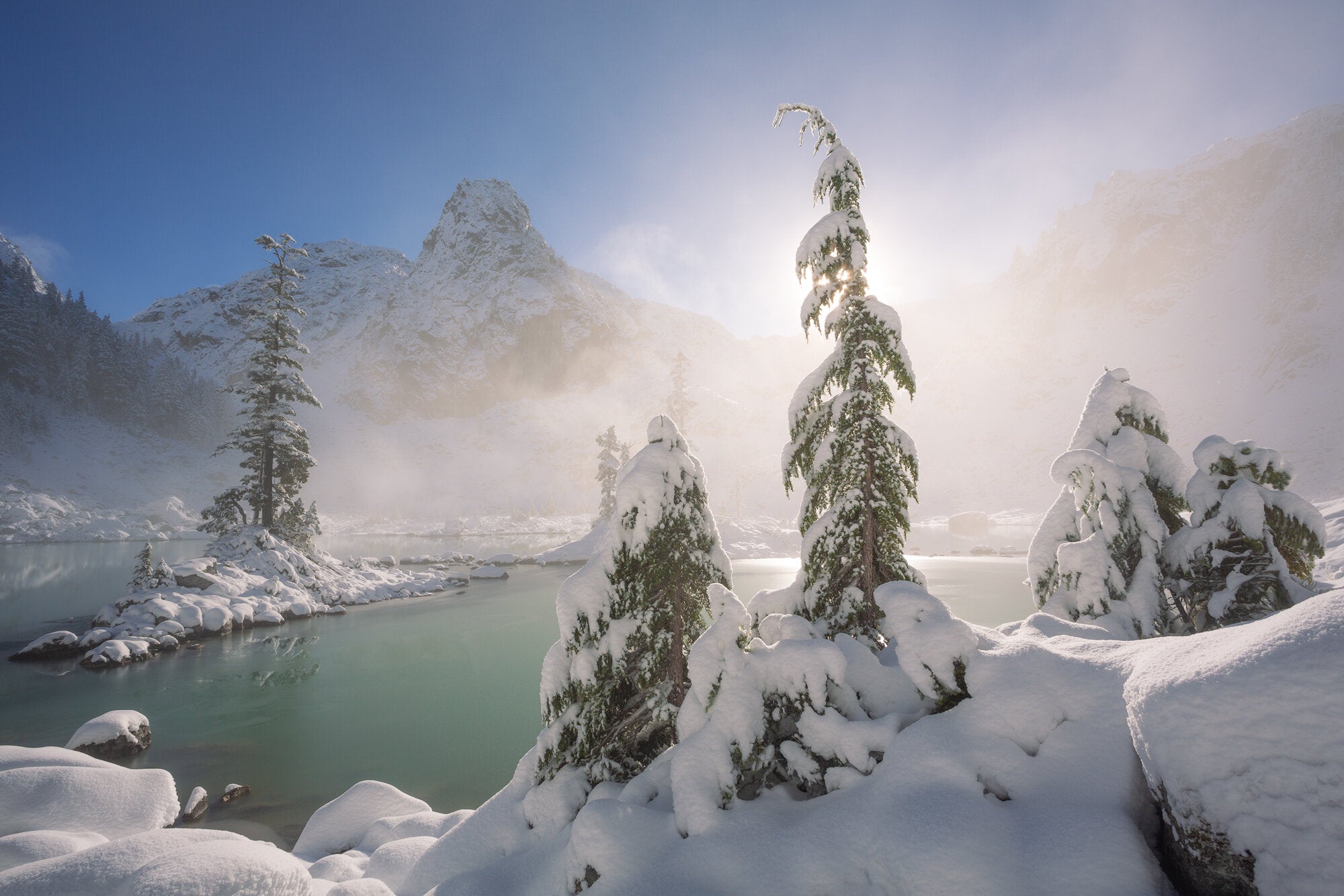 Watersprite photo of snowy trees in the Coast Mountains taken by award-winning nature photographer Jess Findlay
